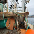 Extra picture for advert 148362
