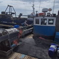 Extra picture for advert 148363