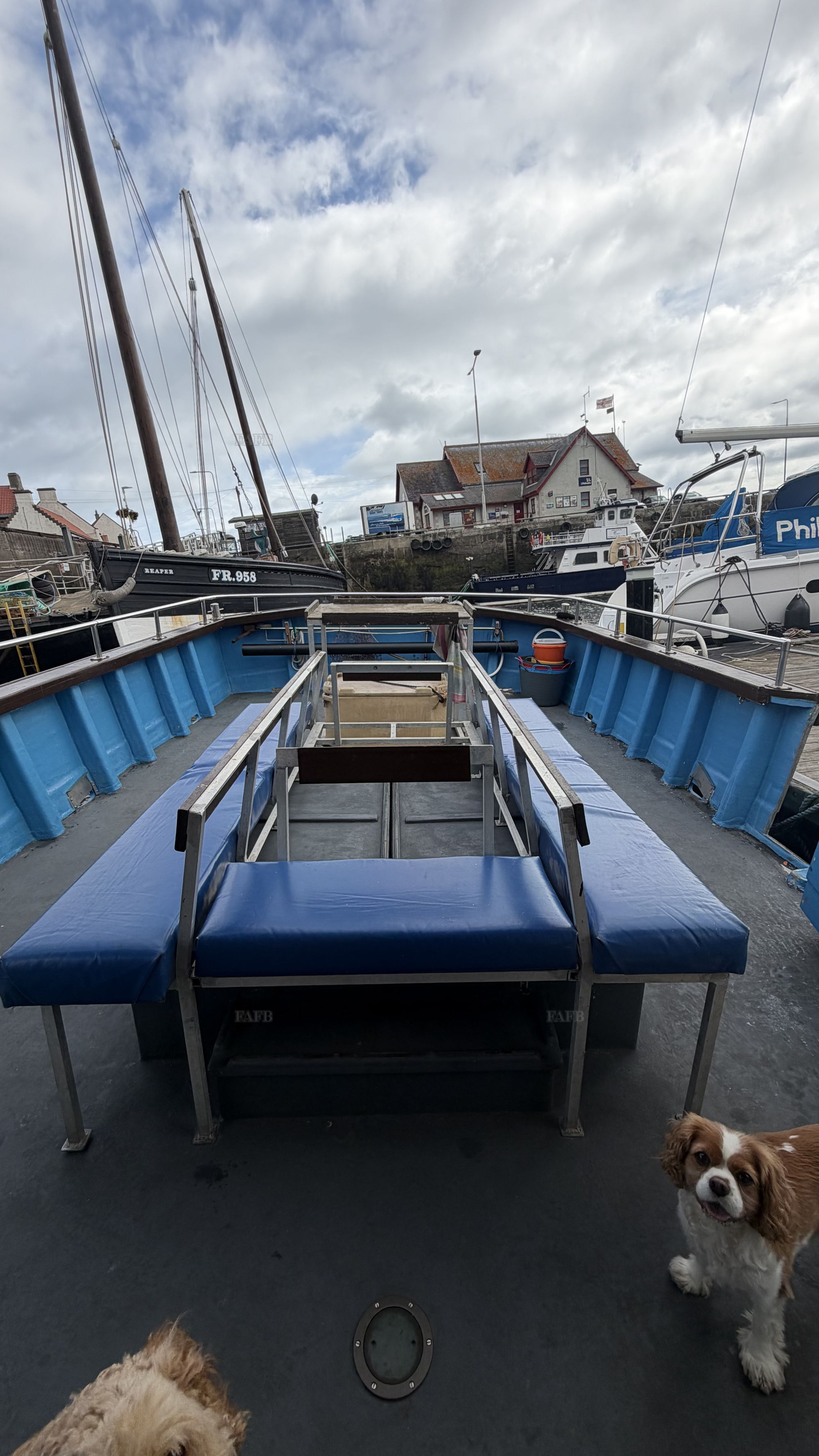 Large picture for advert 148364