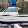 Extra picture for advert 147368