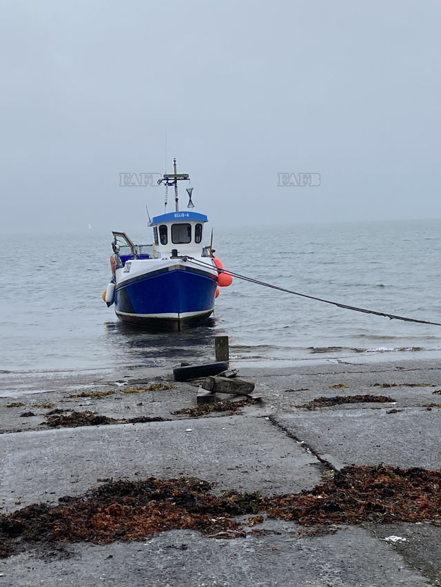 Large picture for advert 148037