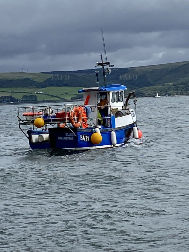 Large picture for advert 148037