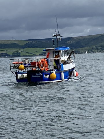 Main picture for advert 148037
