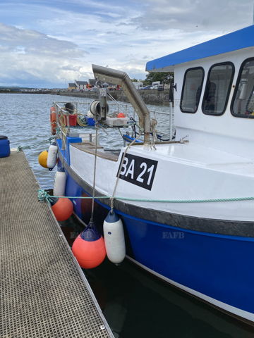 Main picture for advert 148037