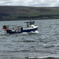 Extra picture for advert 148037
