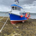 Extra picture for advert 148037