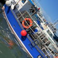 Extra picture for advert 148037