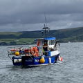 Extra picture for advert 148037