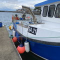 Extra picture for advert 148037