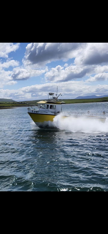 Kingfisher fast catch 31