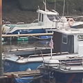 Thumbnail for picture 8