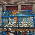 Extra picture for advert 148374