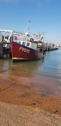 All purpose fishing vessel - Silvery Sea - ID:129375