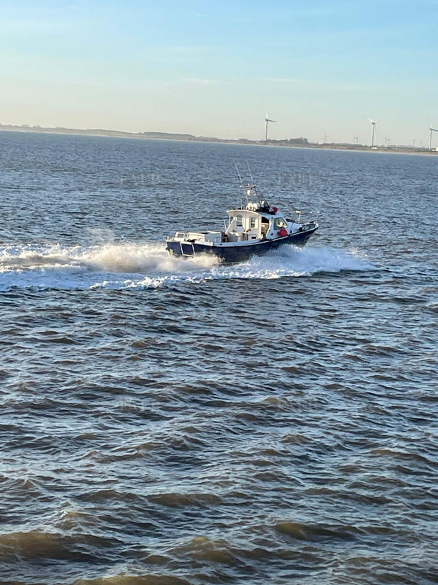 Large picture for advert 144377