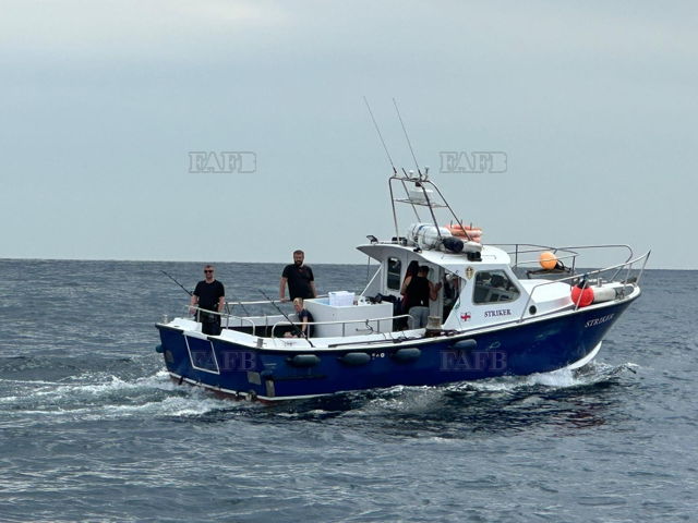 Large picture for advert 144377