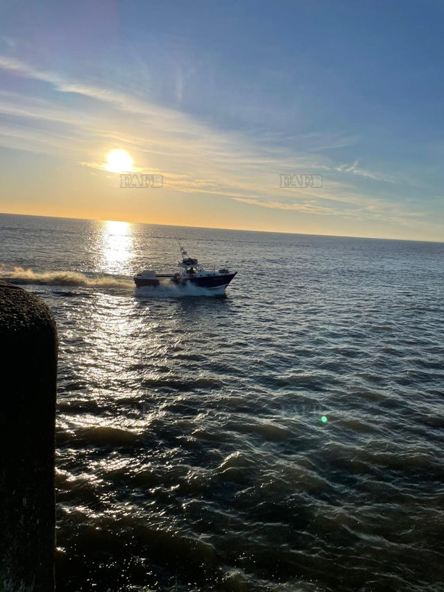 Large picture for advert 144377