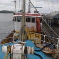 Thumbnail for picture 9