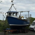 Extra picture for advert 147038