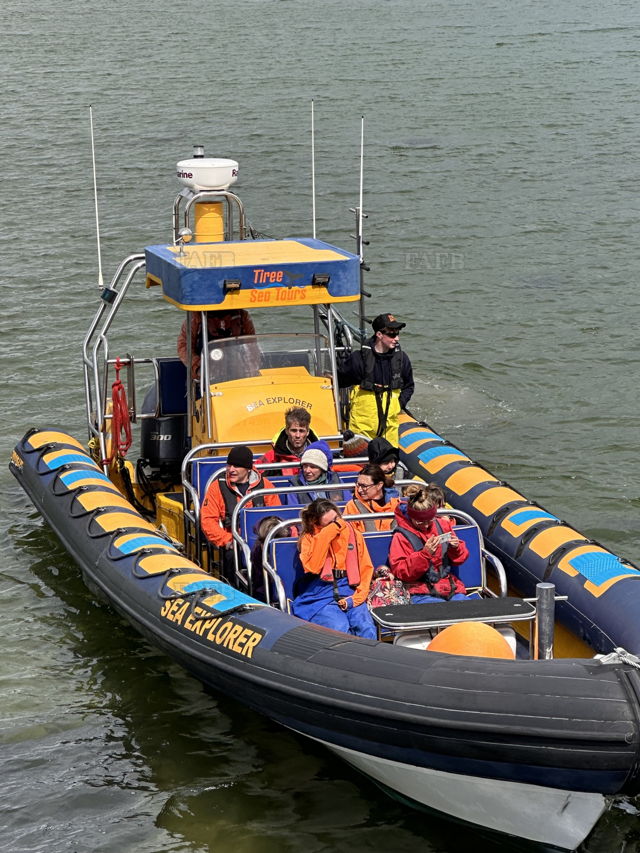 Large picture for advert 138380