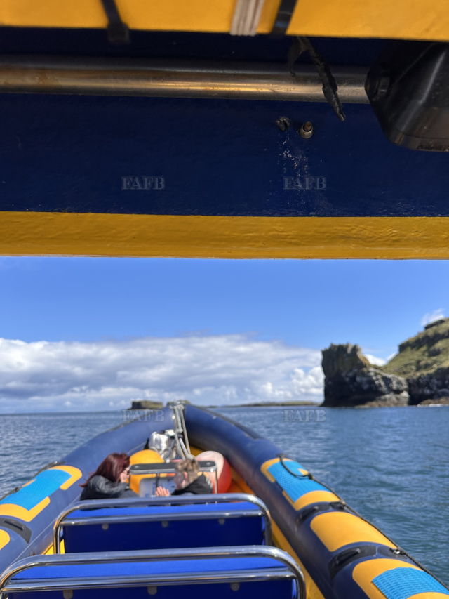 Large picture for advert 138380