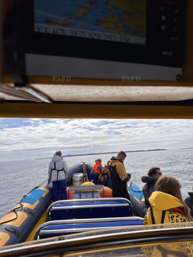 Large picture for advert 138380