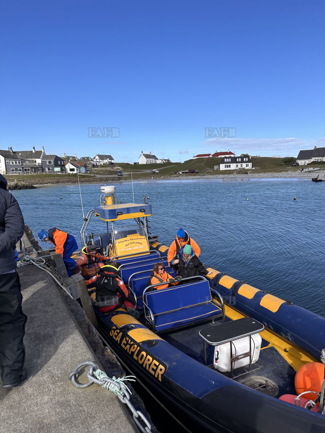 Large picture for advert 138380