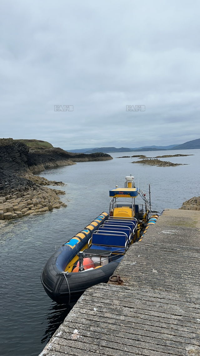 Large picture for advert 138380