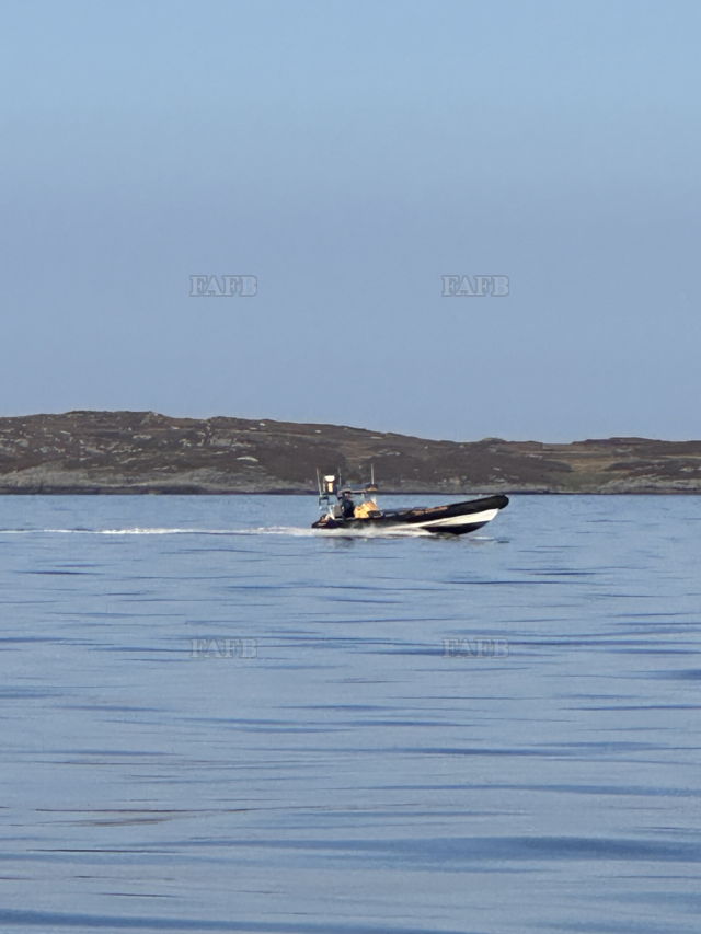 Large picture for advert 138380