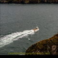 Thumbnail for picture 27