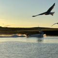 Thumbnail for picture 12