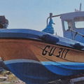 Thumbnail for picture 2