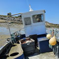 Thumbnail for picture 9