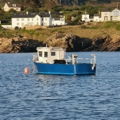 Extra picture for advert 147384