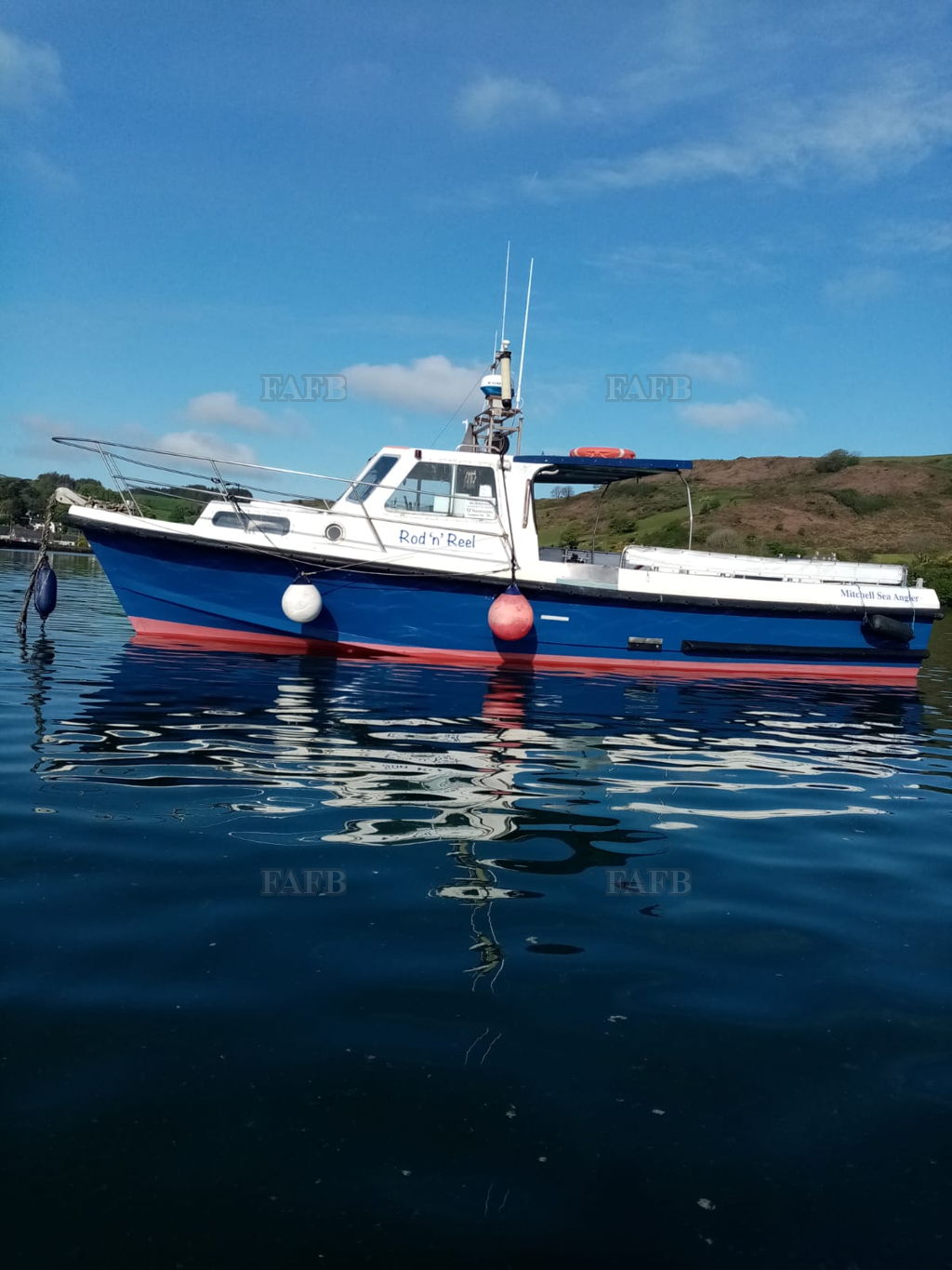 Mitchell Mk2 Sea angler