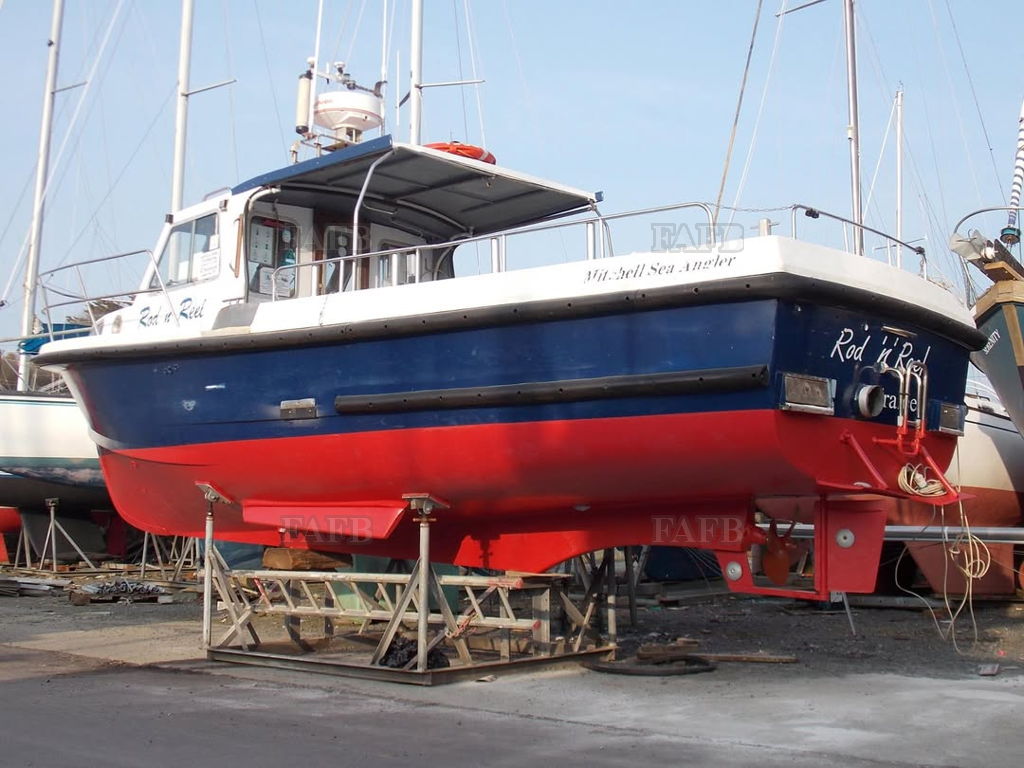 Mitchell Mk2 Sea angler