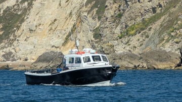 Amarisa (new engine)