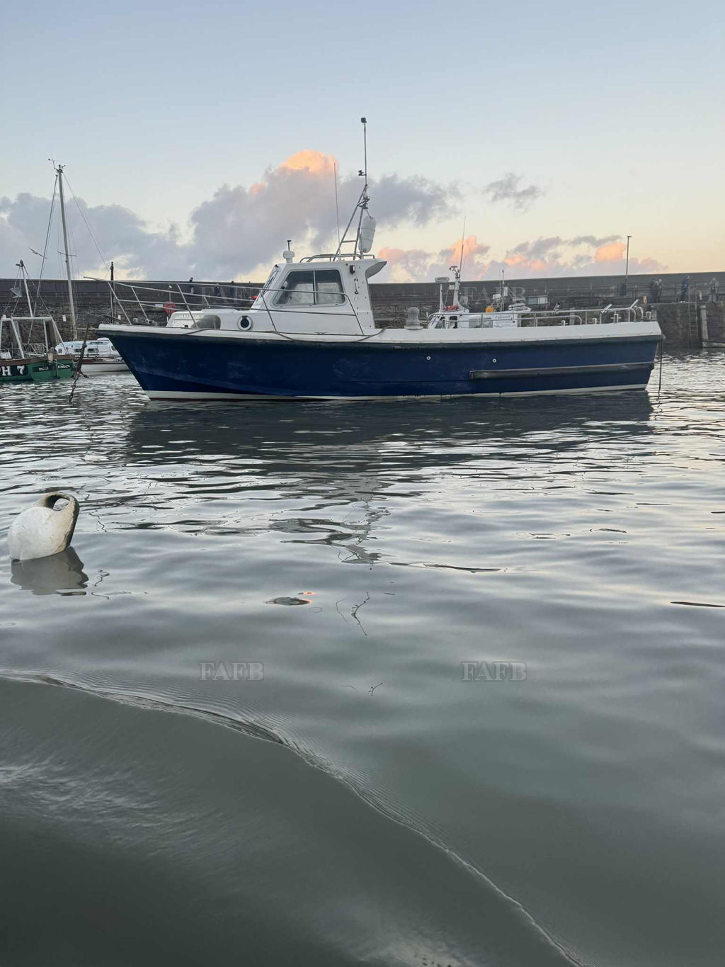 Mitchell 31 Sea Angler MKII