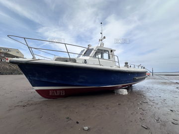 Mitchell 31 Sea Angler MkII