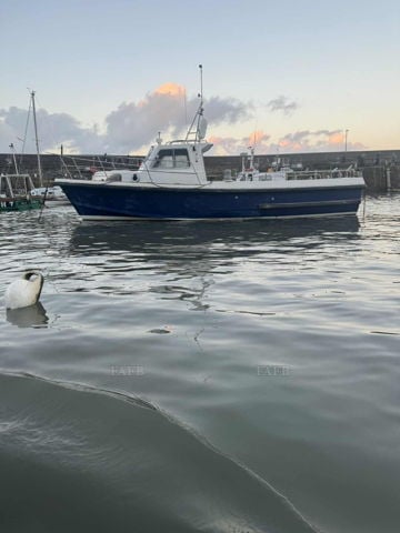 Mitchell 31 Sea Angler MkII