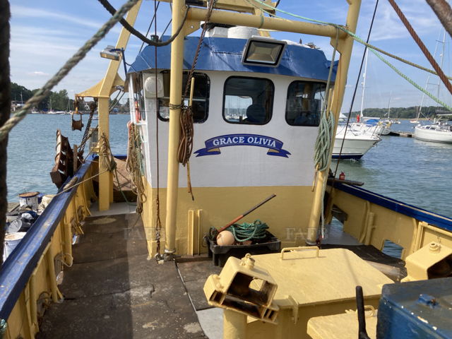 Large picture for advert 142389