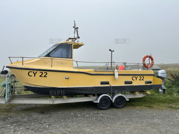Sealg Brigh