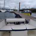 Extra picture for advert 147392