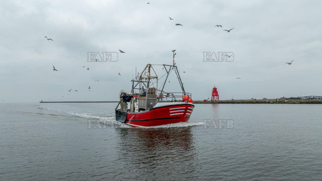 Large picture for advert 139393