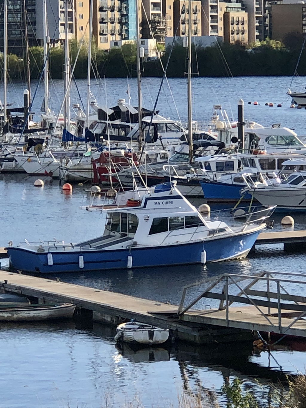 Aqua bell 33