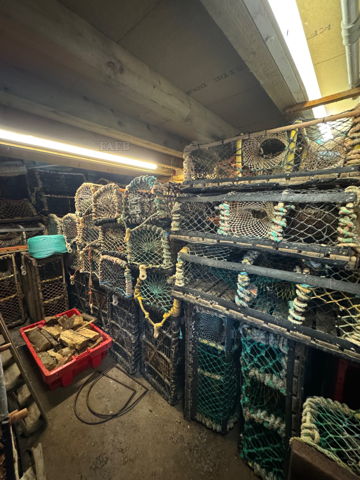 Lobster/crab pots
