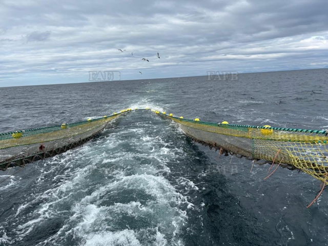 Large picture for advert 144004