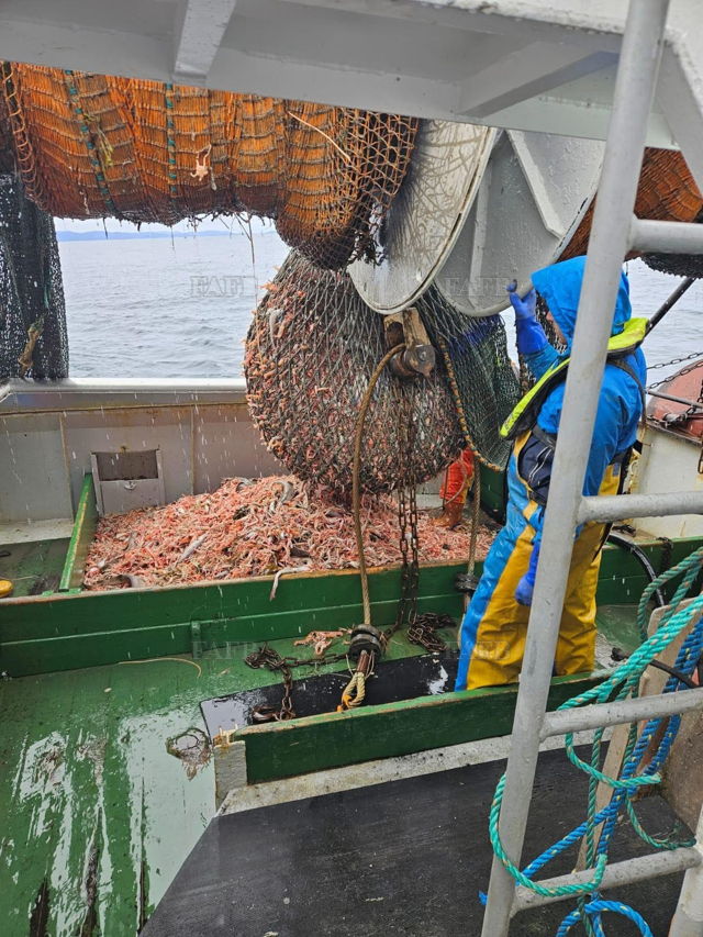 Large picture for advert 144004