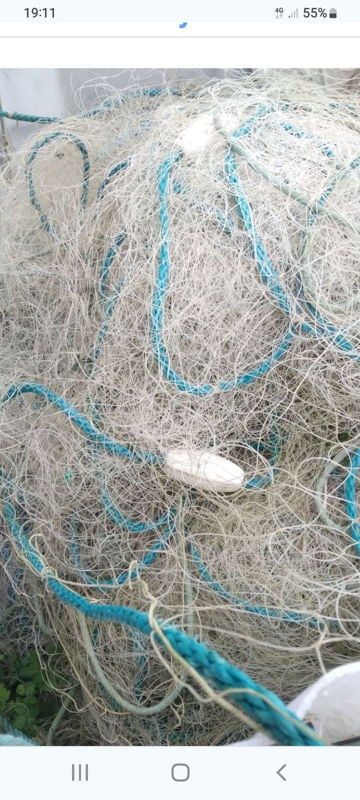5 1/4 and 6  inch cod net