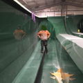 Thumbnail for picture 7