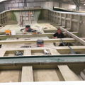 Thumbnail for picture 6